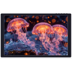 ANDYCINE N10 10.1" Portable Multi-Touch Monitor