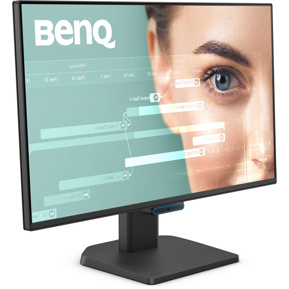 BenQ GW2490C 23.8" Eye-Care Home Office Monitor (Black)