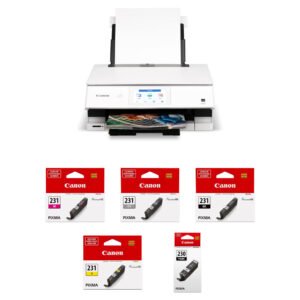 Canon PIXMA TS8820 Wireless All-in-One Inkjet Printer with CLI-231/PGI-230 5-Color Ink Tank Kit