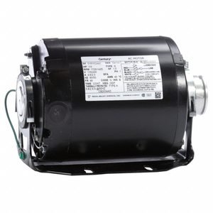 CENTURY Carbonator Pump Motor: 48 Frame Size, Cradle Base, 115/230V AC, 1/3 hp, 1,725/1,425 RPM
