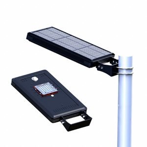 Solar Powered Outdoor Light: 1,600 lm, 5000K, 100 W, Black, Type IV, 18 in Overall Lg