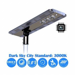 Solar Powered Outdoor Light: 4,800 lm, 3000K, 30 W, Silver, Type IV