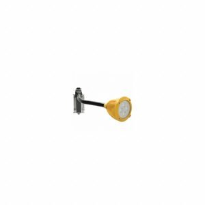 IDEAL WAREHOUSE INNOVATIONS, INC. Gooseneck Dock Light: LED, 27 in Arm Reach, Gooseneck, 10 W/20 W