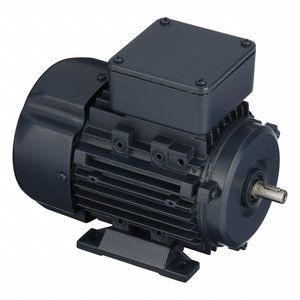 LEESON Metric Motor: 1/4 hp, Rigid Base Mount, 63 Frame Size, Totally Enclosed Fan Cooled, 1,700 RPM