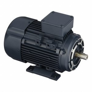 LEESON Metric Motor: 1 hp, C-Face/Rigid Base Mount, 80C Frame Size, Totally Enclosed Fan Cooled