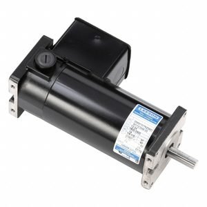 LEESON DC Permanent Magnet Motor: 1/3 hp/1/6 hp, 3,900/1,800 RPM, 31 Frame Size, 12/24V DC, Flange
