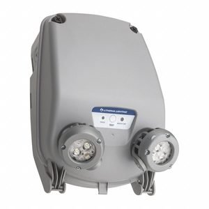Emergency Light: 6.6 W Lamp Watt, 32 W Emergency Watt, 120 to 347V AC, 2 Lamp Heads, Plastic, Gray